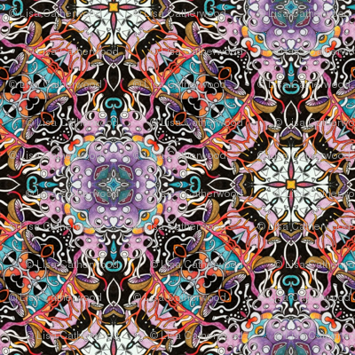 Zelleri