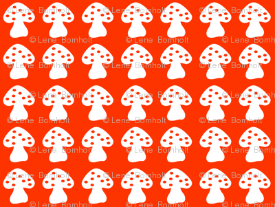 mushroom orange