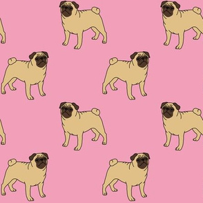 Pugs on pink