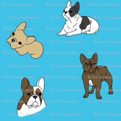 Frenchies