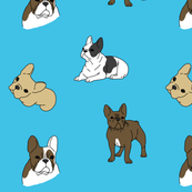 Frenchies
