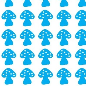 mushroom turquoise