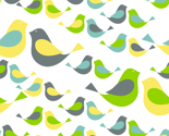 birds