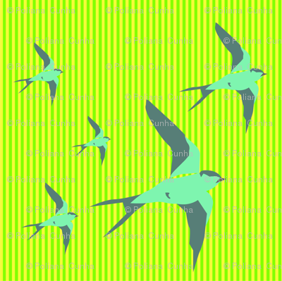 birds