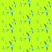 Rrbirds3_shop_thumb