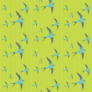 birds