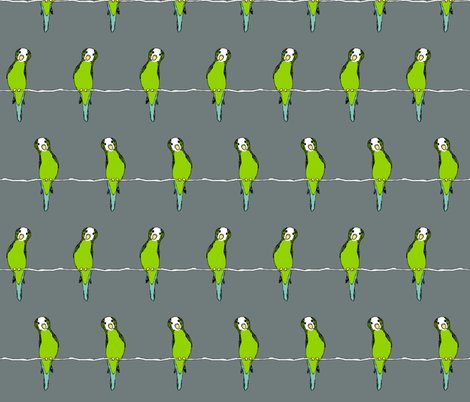 Rr1406790_rparakeets_on_whgrey_shop_preview