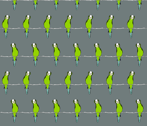 Parakeets on Grey fabric by pond_ripple on Spoonflower - custom fabric