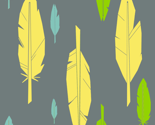 Rfeathersfeathersfeathers_thumb