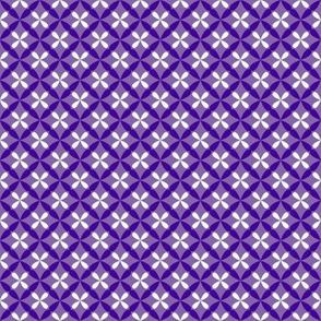 Nested Lattice Purple B