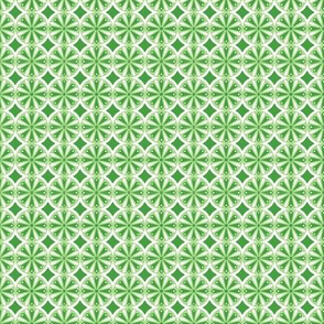 Sliced Citrus Green