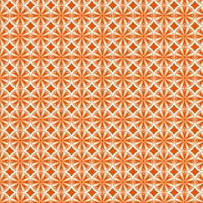 Sliced Citrus Orange