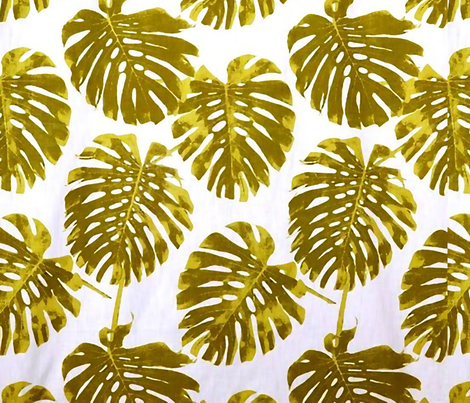 Monstera
