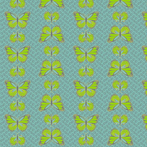 Cocoon Butterflies Sky