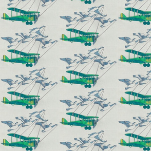 geese_fly_plane