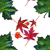 autumn leaves 4
