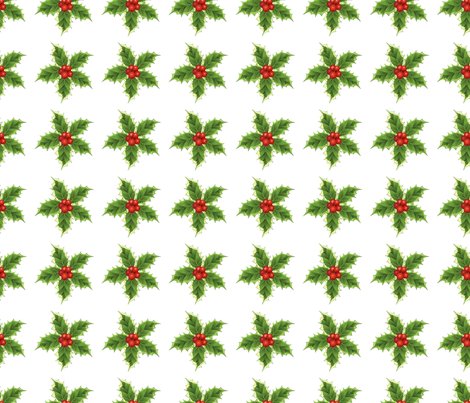Holly_2_copy_shop_preview