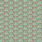 Rindia_ditsy