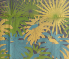Rrtoucanonemore-01_comment_253491_preview
