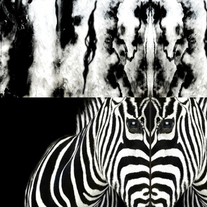 The huntsman zebra