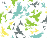 spirit_bird