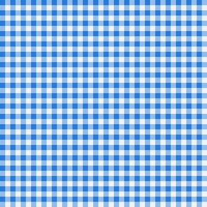 Gingham ~ True Blue