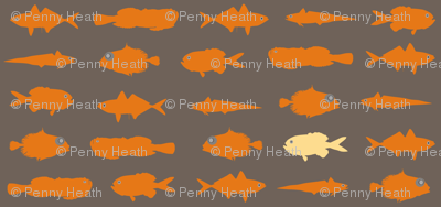 Orange Fish Funk