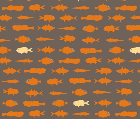 Rorange_fish
