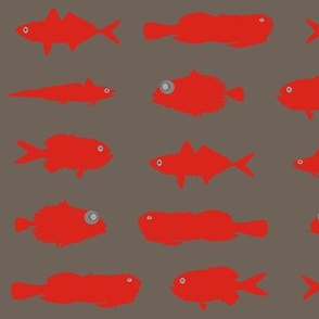 Red Fish Funk