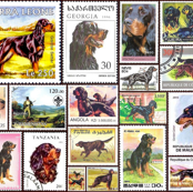 gordon_setter aligned stamps