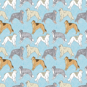 Standing Long haired Whippets - blue