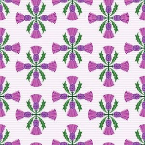 Scottish Thistles