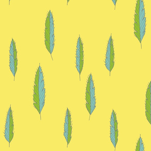 feathers