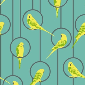 Yellow Budgies