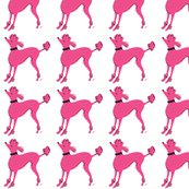 Poodle_decal_4