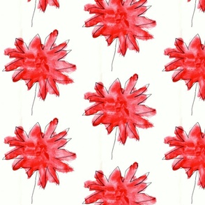 Sammy's red flowers on white
