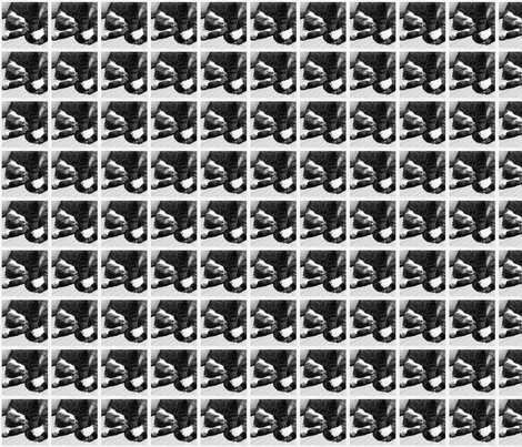 Cat nap fabric by greeleyo'connor on Spoonflower - custom fabric