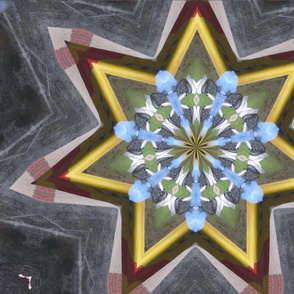 Kaleidescope 3858