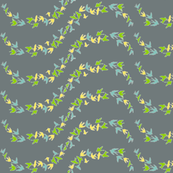 birds4