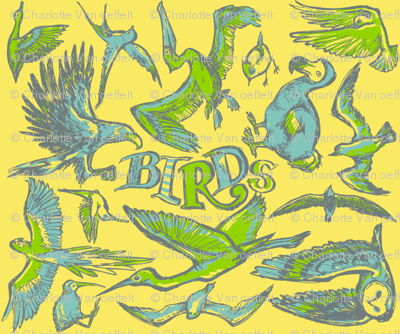 Birds
