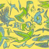 Rrrrrrrbirds_shop_thumb