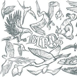 Birds Grey