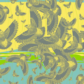 Birds