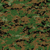Marine MARPAT Digital Woodland Camo