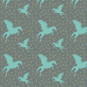 Flying Pegasus