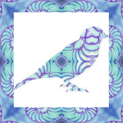Bird Songs 25