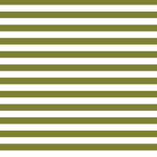 stripes olive green and white