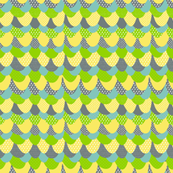 Bird Feathers