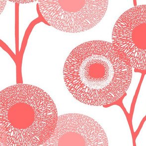 Pink Grapefruit Puffs
