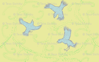 birds